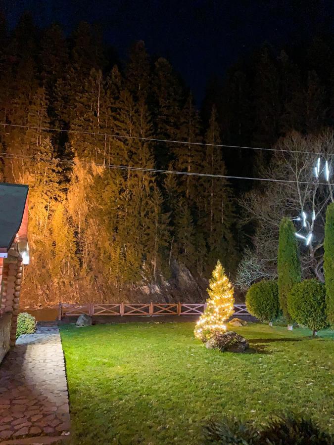 Forest House Tatariv Εξωτερικό φωτογραφία