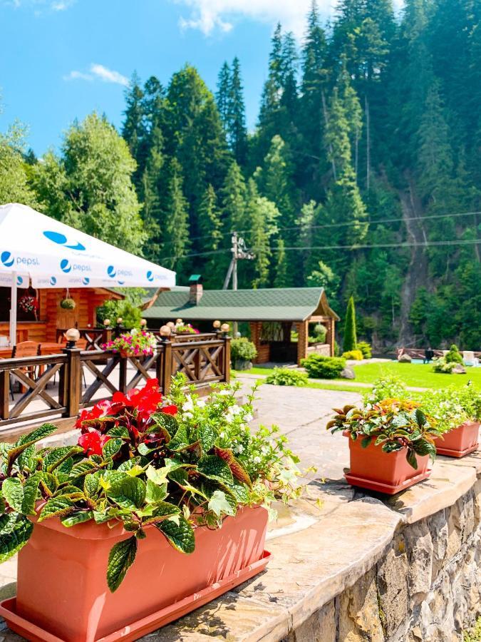 Forest House Tatariv Εξωτερικό φωτογραφία