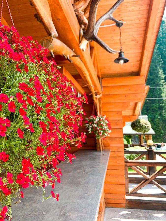 Forest House Tatariv Εξωτερικό φωτογραφία
